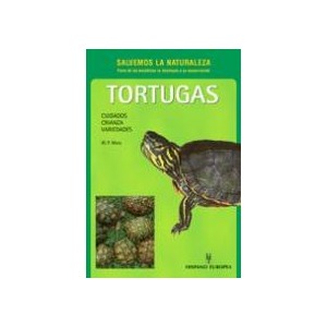 Tortugas: cuidados, crianza, variedades