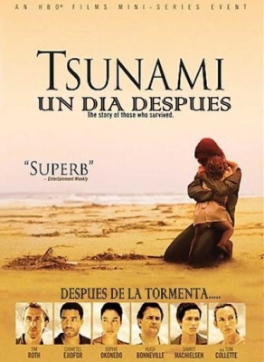 Tsunami: el dia después