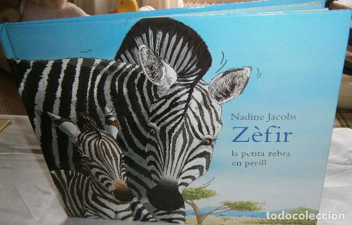 Zèfir i la petita zebra en perill