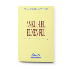 Amkul·lel, el nen ful