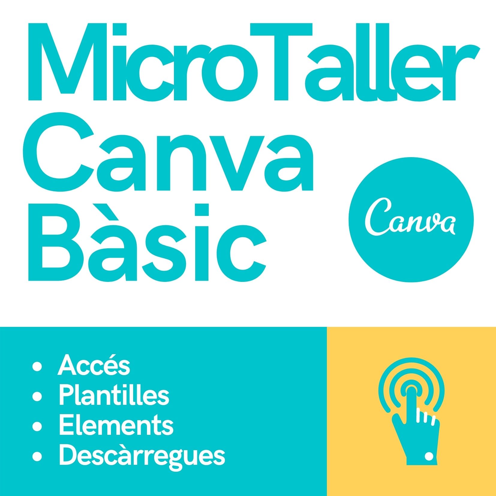 MicroTaller Canva Bàsic