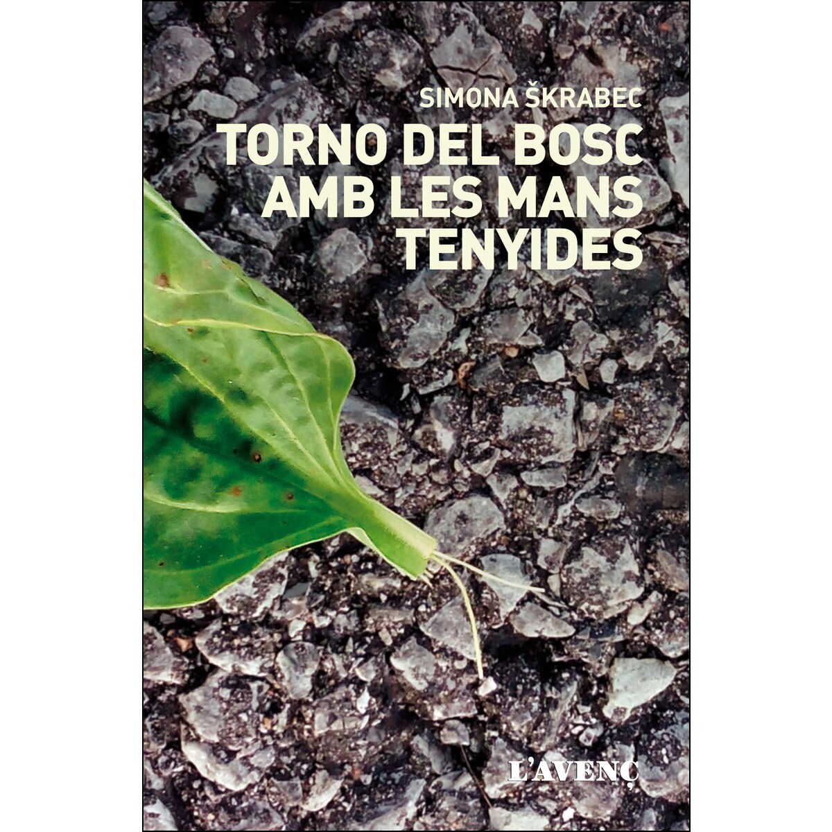 Torno del bosc amb les mans tenyides