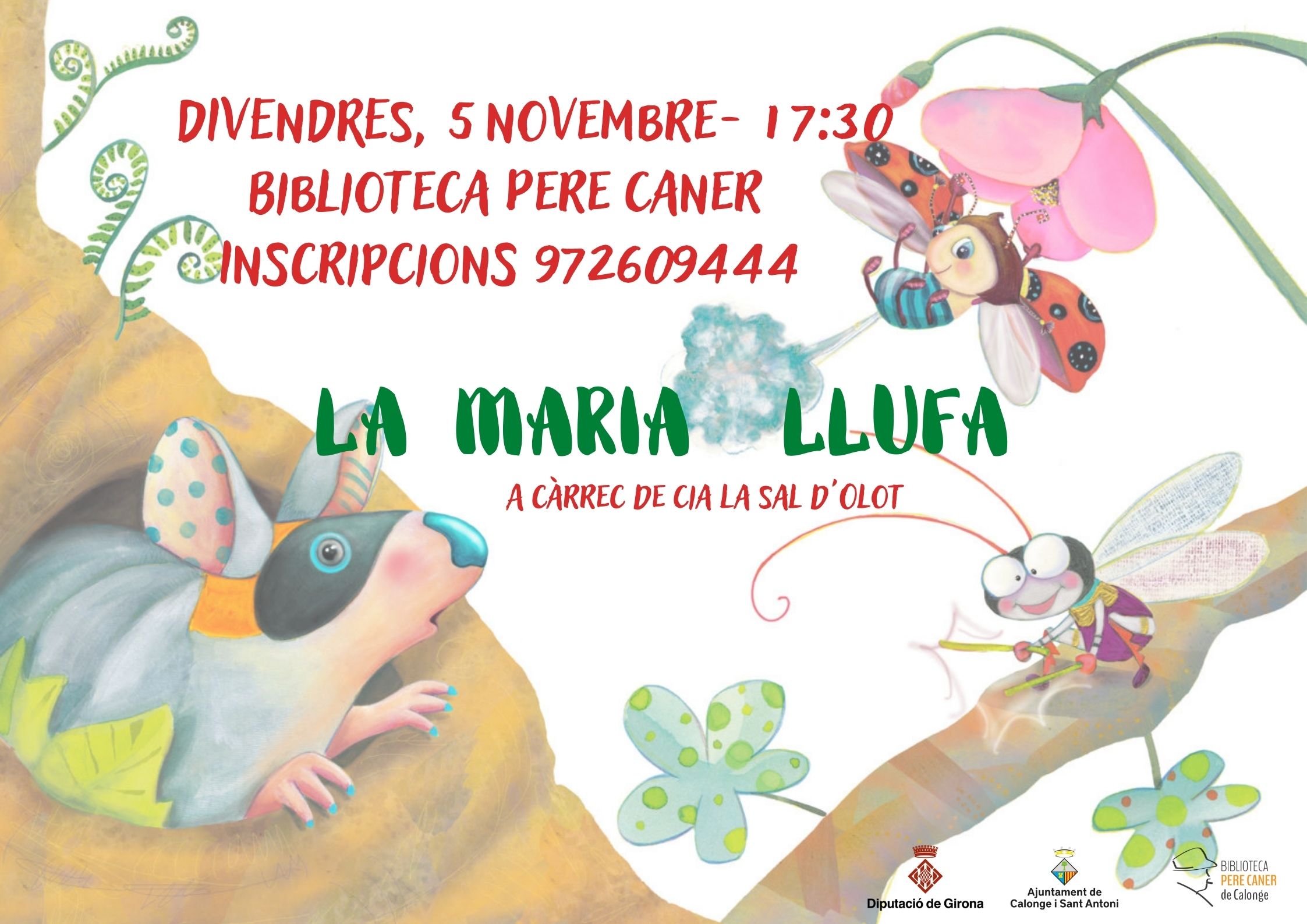 MARIA LLUFA