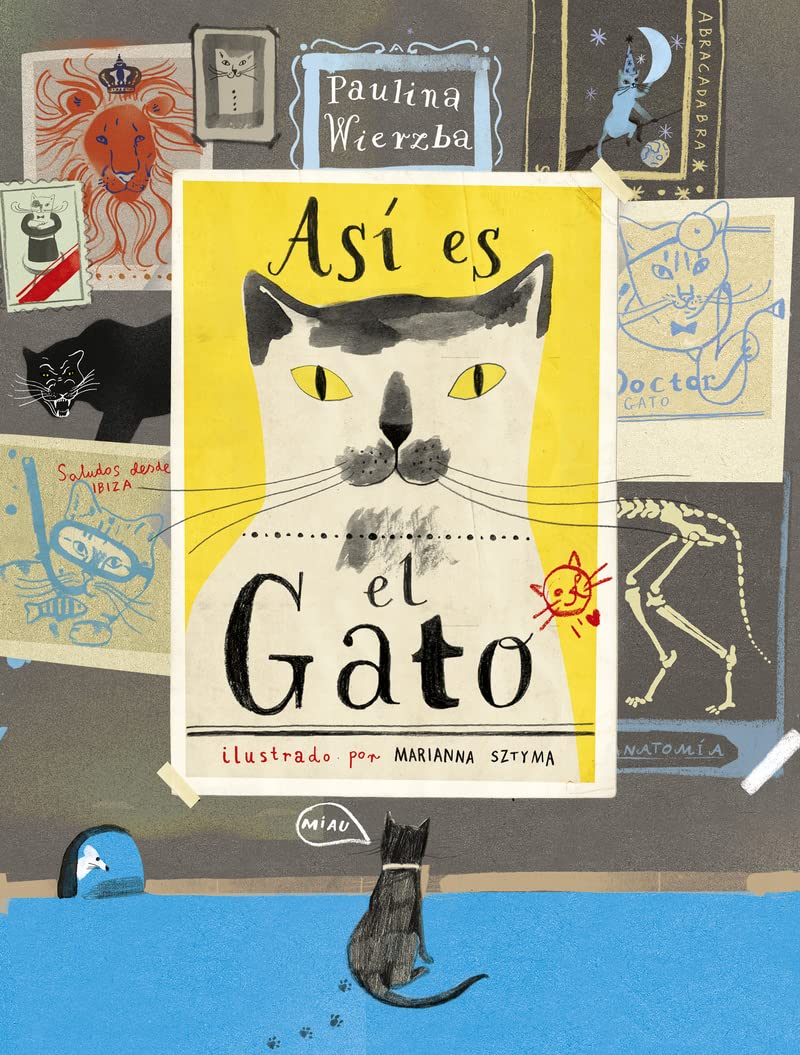 Así es el gato 