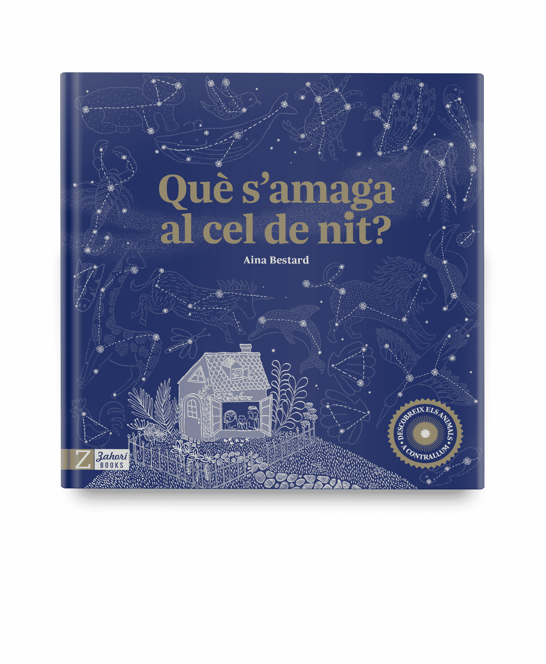 Què s'amaga al cel de nit?