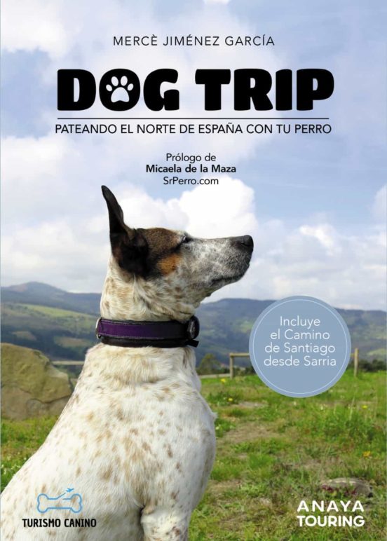  Dog trip: pateando el Norte d España con tu perro. 
