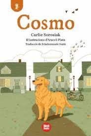  Cosmo 