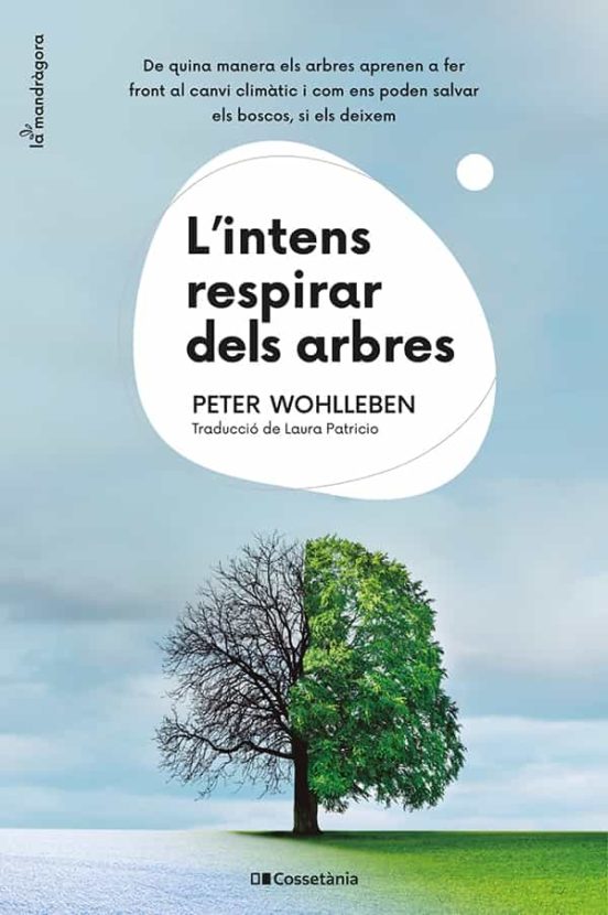 Intens respirar dels arbres : de quina manera els arbres aprenen a fer front el canvi climàtic i com es poden salvar els boscos, si els deixem