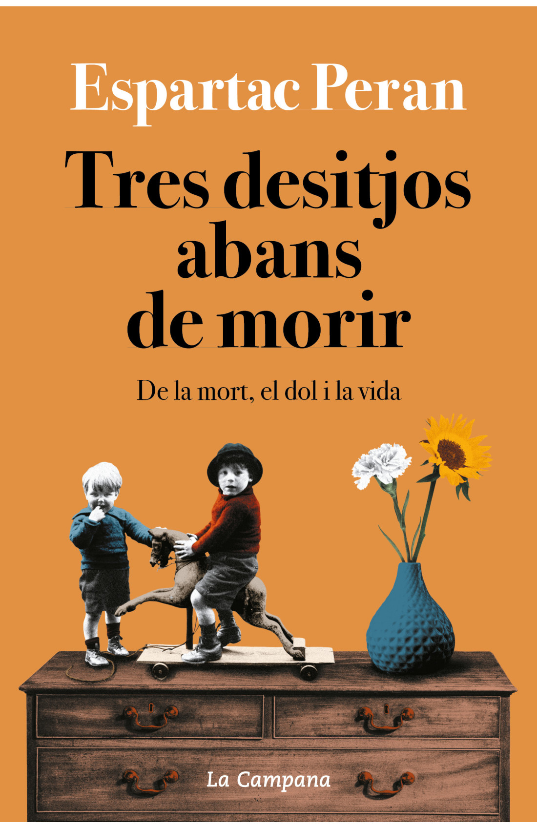 Tres desitjos abans de morir
