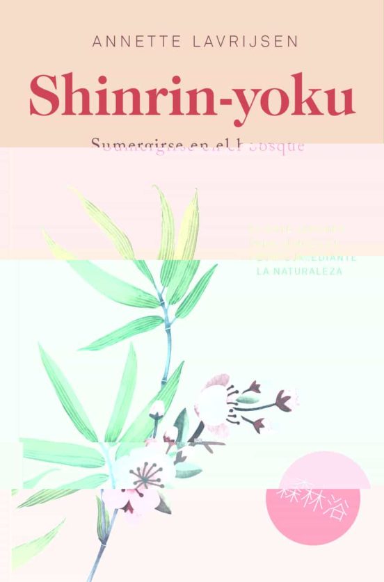 Shinrin-yoku : sumergirse en el bosque