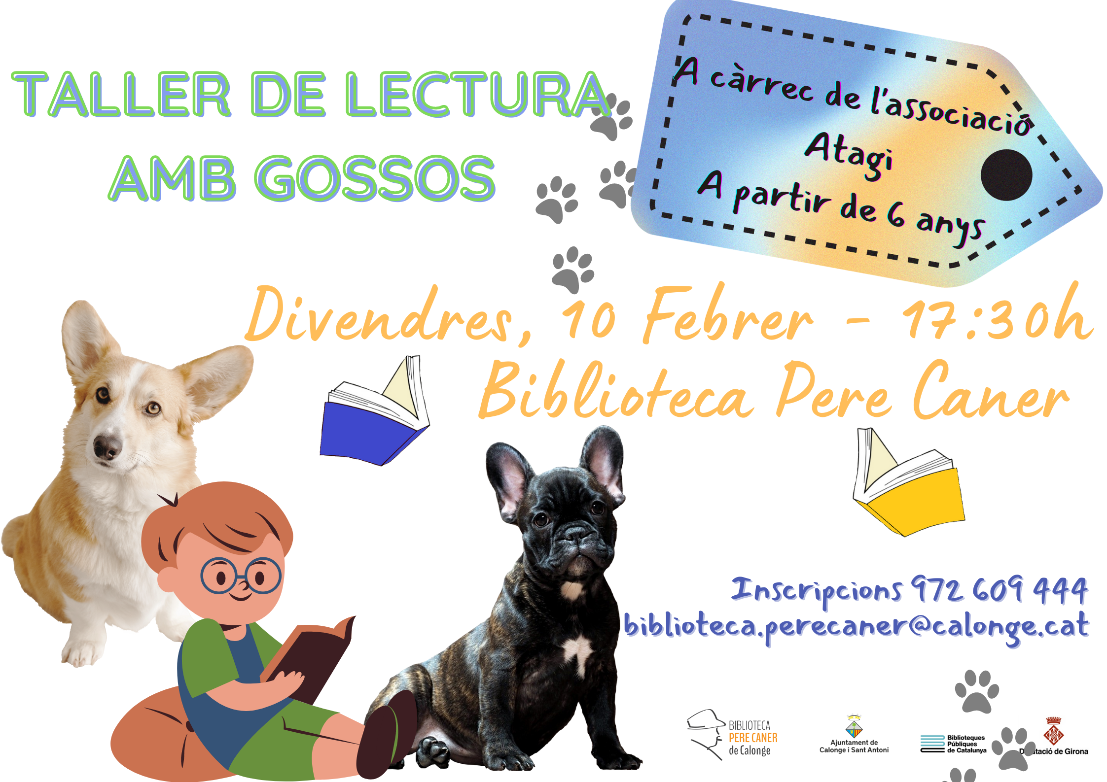 TALLER LECTURA GOSSOS