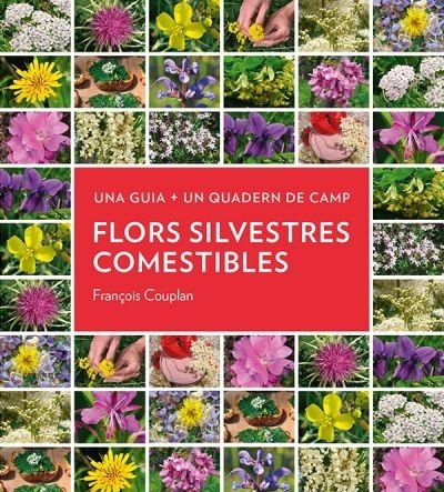 Flors silvestres comestibles