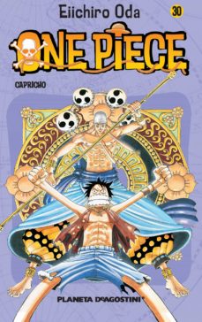 One piece volum 30