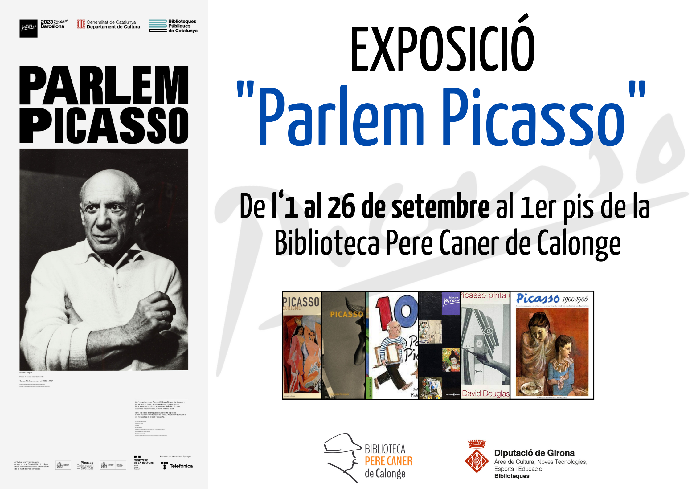 PARLEM PICASSO PERE CANER