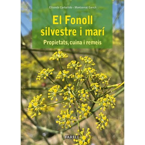 El Fonoll silvestre i marí: propietats,cuina i remeis