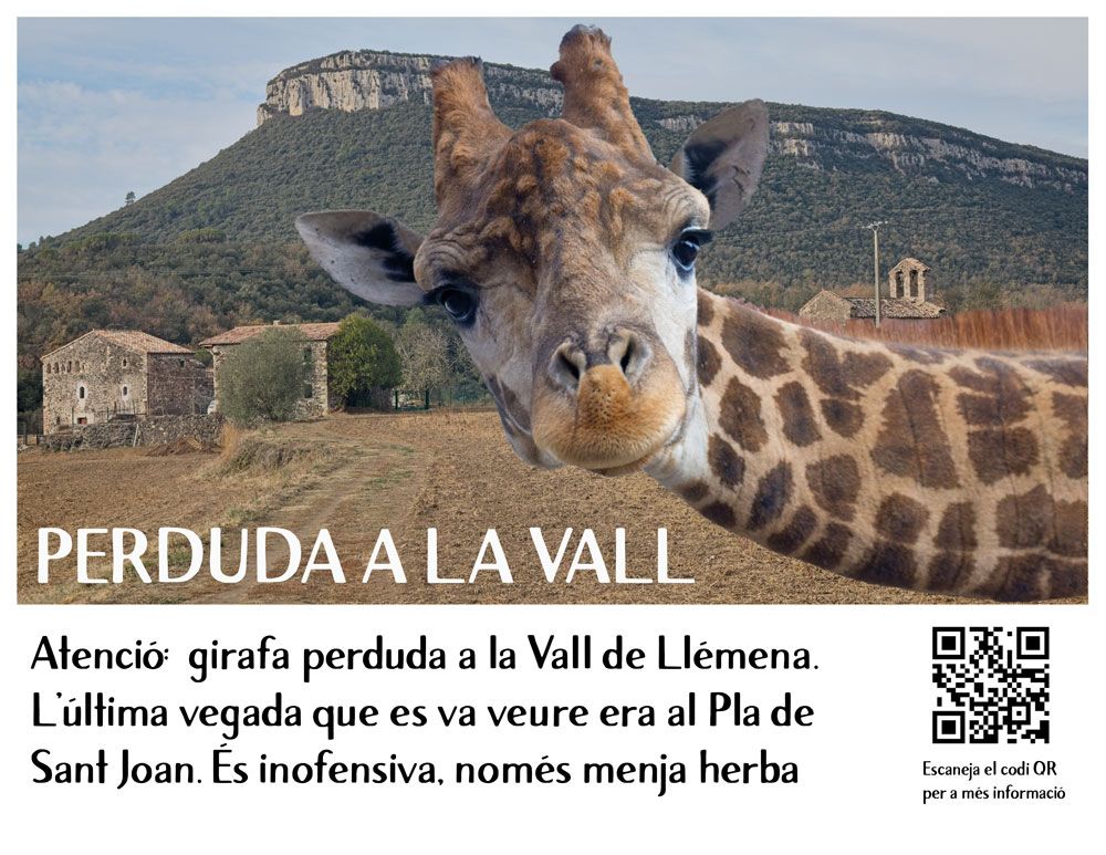Exposició "Girafes ..."