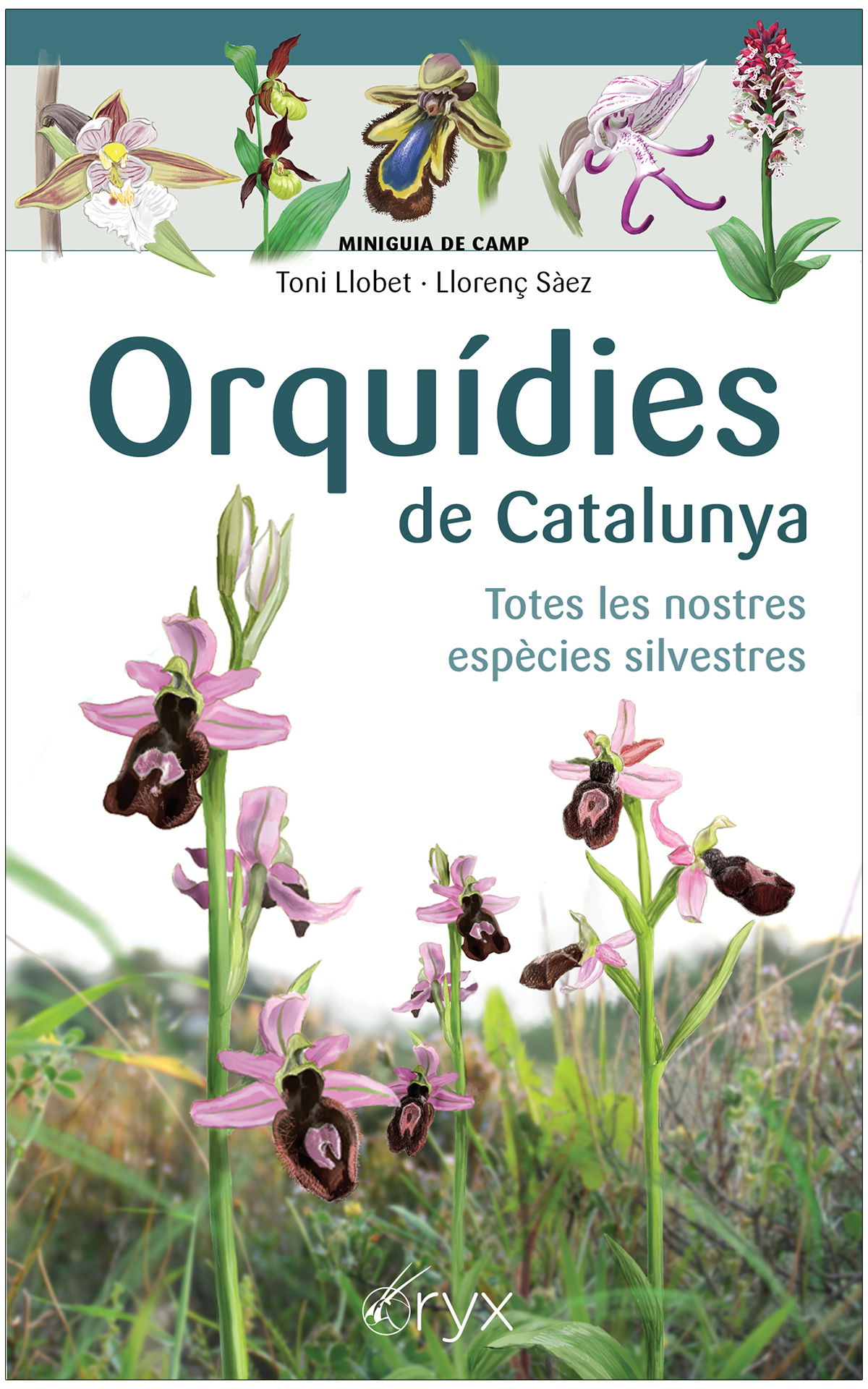 Orquídies de Catalunya: totes les nostres espècies silvestres