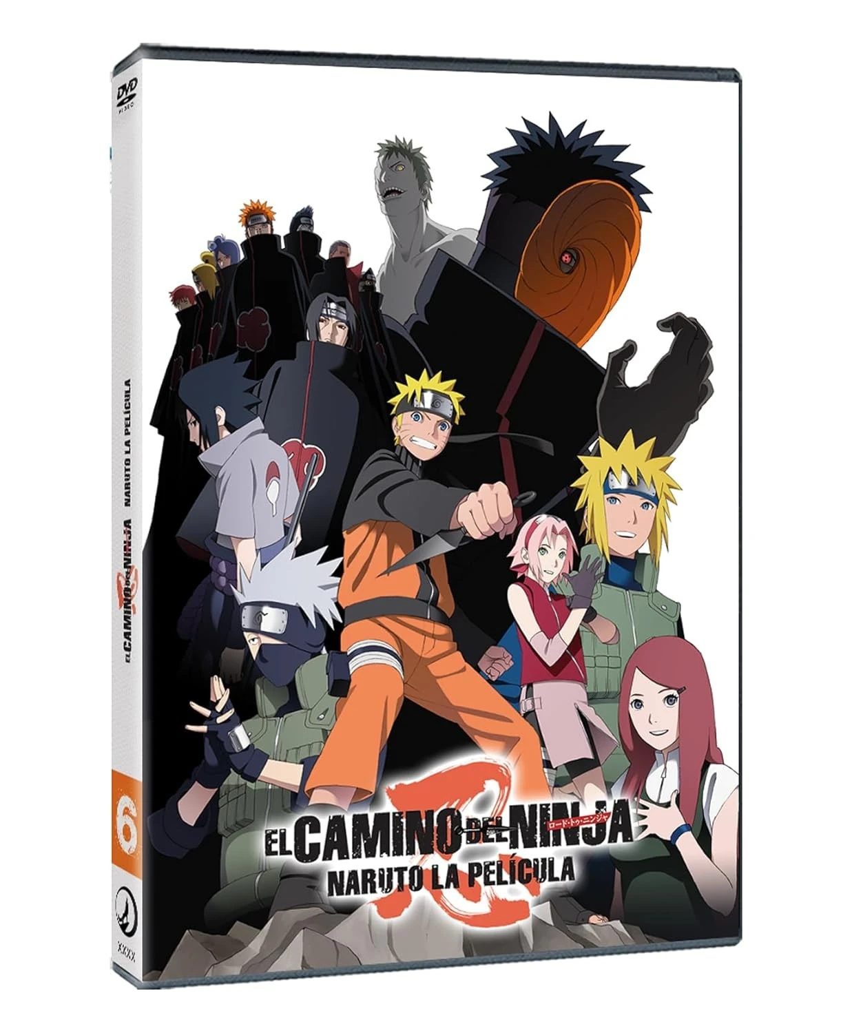 Camino de ninja