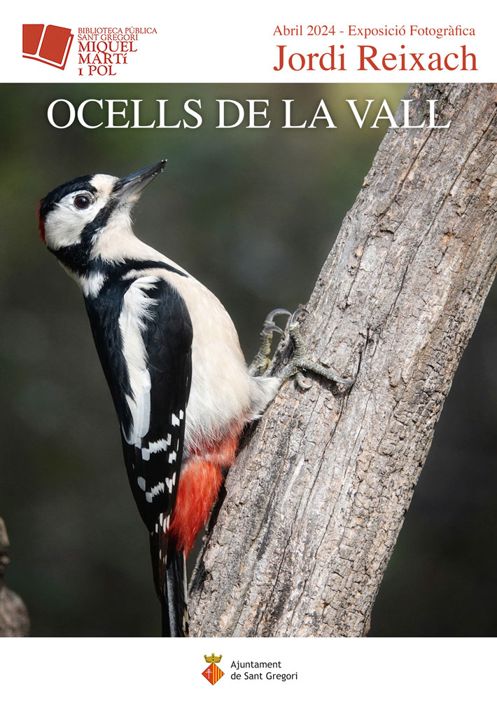 cartell: Expo fotografies J Reixach