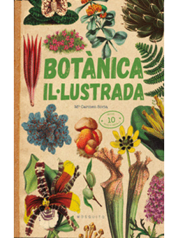 Botànica il·lustrada