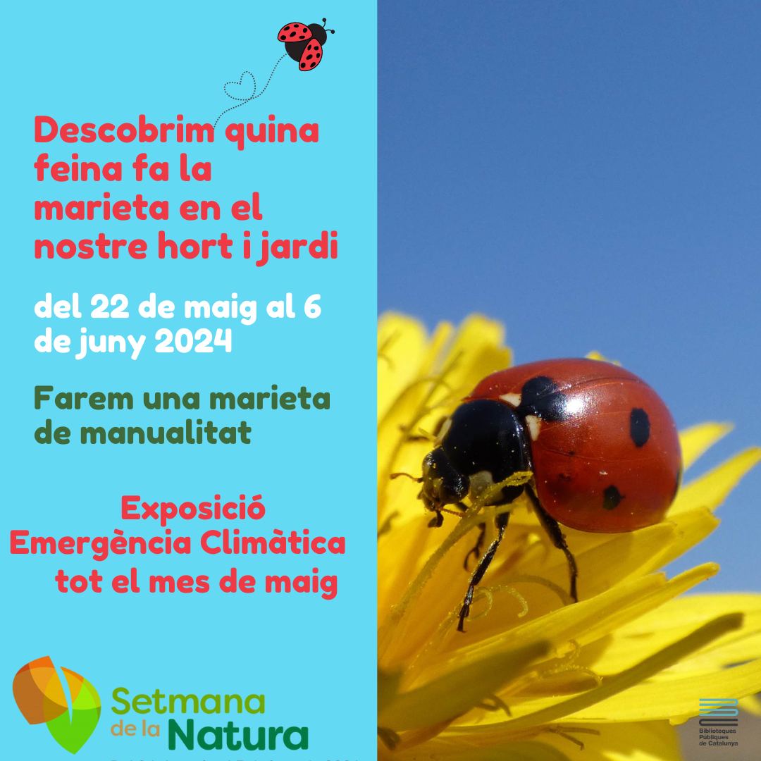 DESCOBRIM QUINA FEINA FA LA MARIETA EN EL NOSTRE HORT I JARDI