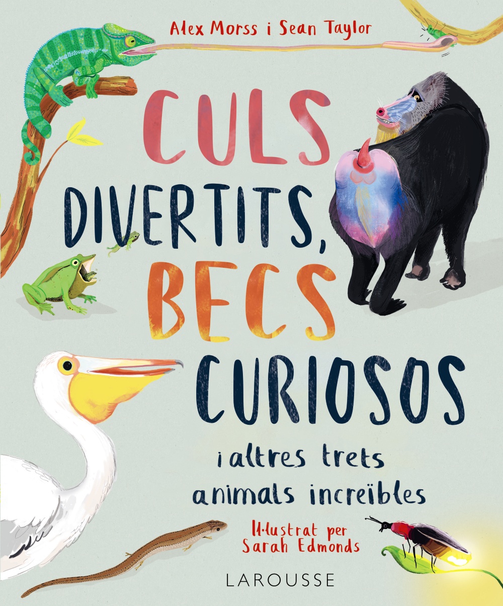 Culs divertits, becs curiosos i altres trets animals increïbles