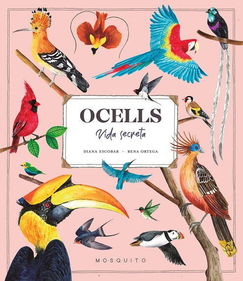 Ocells: vida secreta