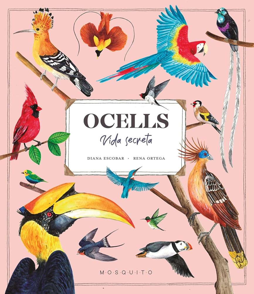 Ocells : vida secreta
