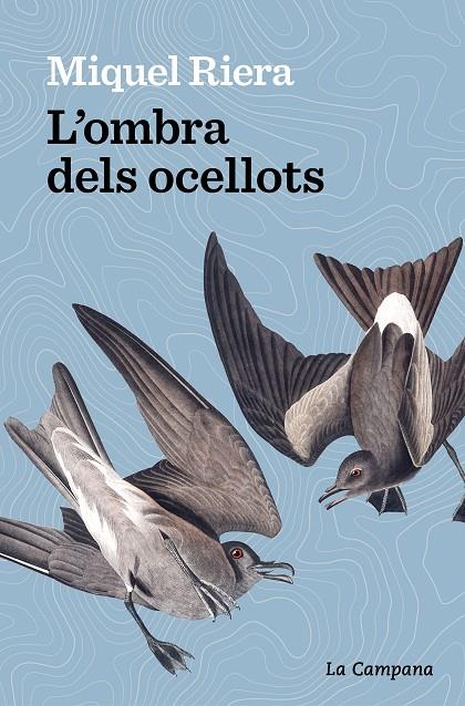 L'ombra dels ocellots 