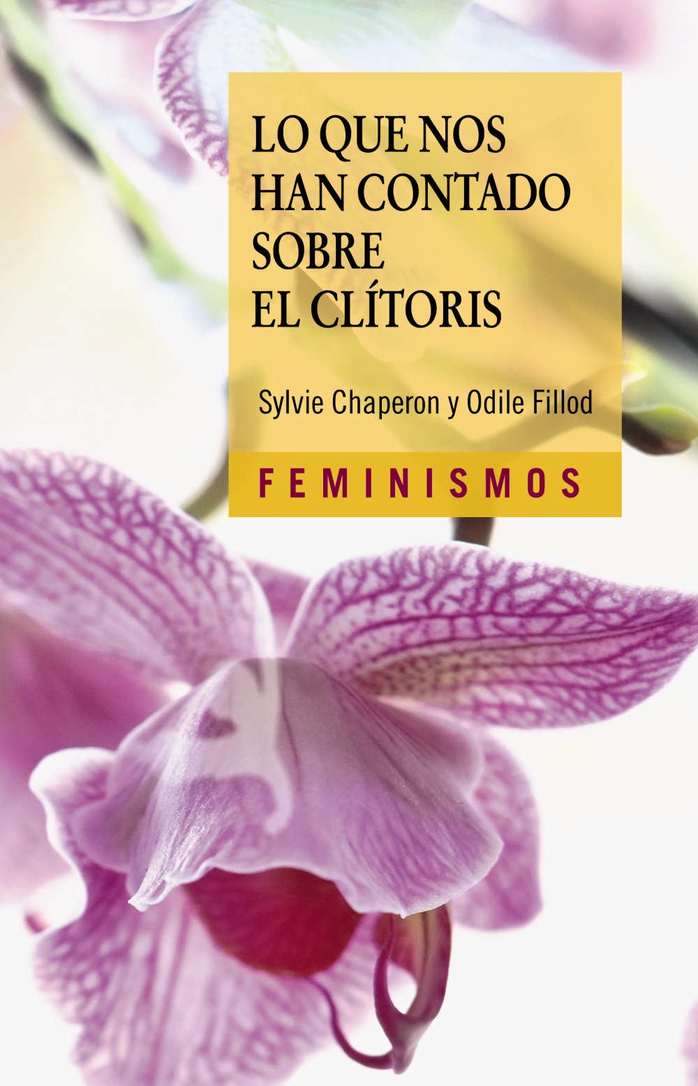 Lo que no nos han contado sobre el clítoris 