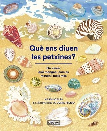 Què diuen les petxines? on viuen, què mengen, com es mouen i molt més