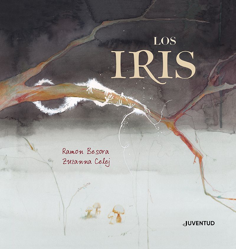 Els iris