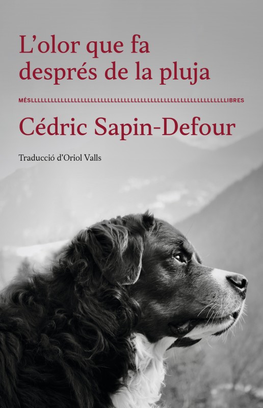 L'Olor que fa després de la pluja