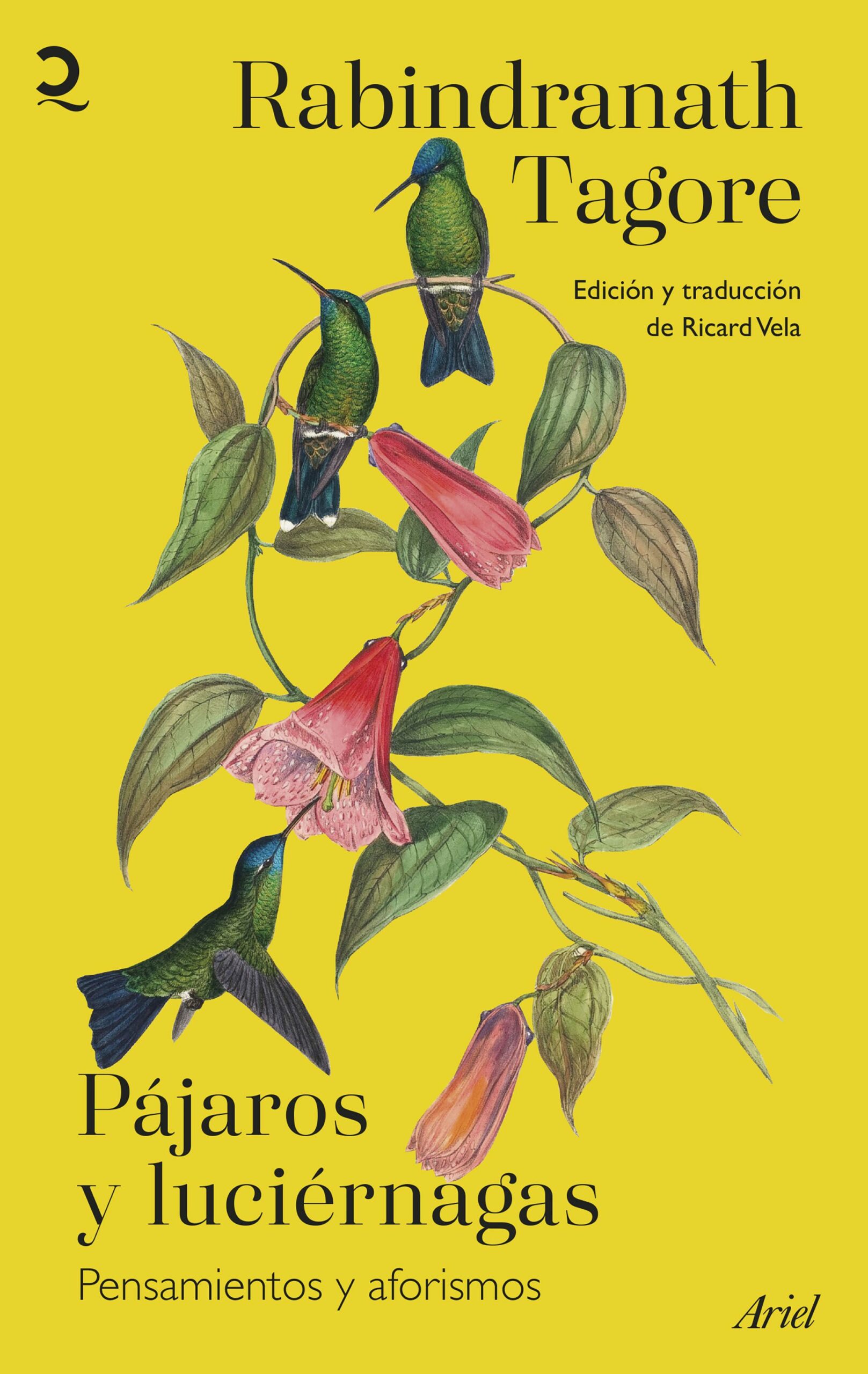 Pájaros y luciérnagas : pensamientos y aforismos