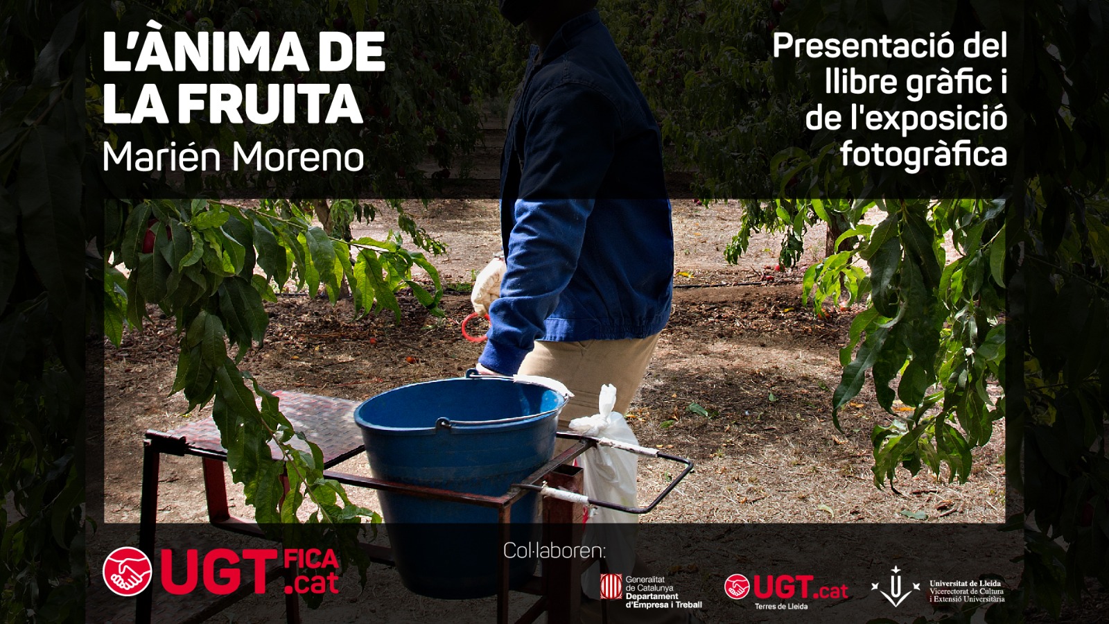 L'ànima de la fruita