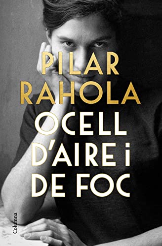 Ocell d'aire i foc