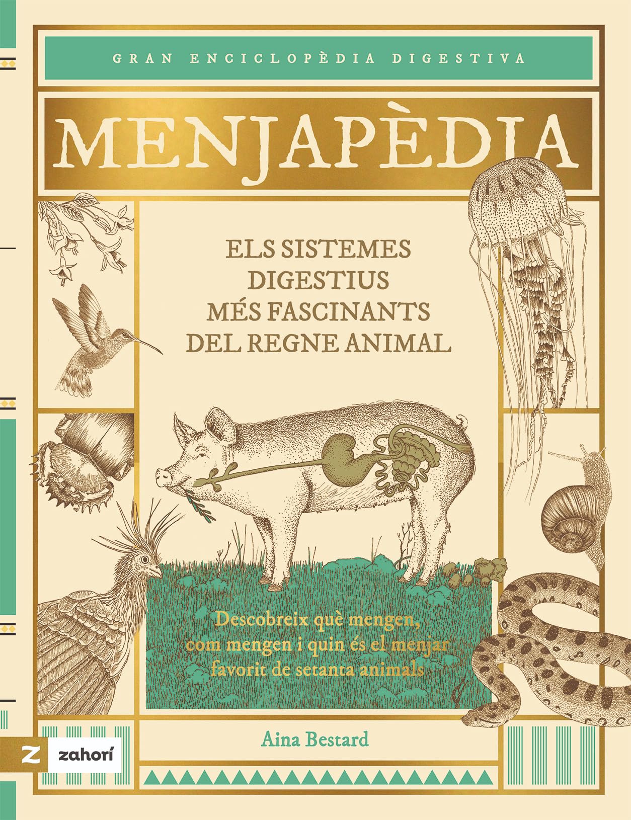Menjapèdia : els sistemes digestius més fascinants del regne animal