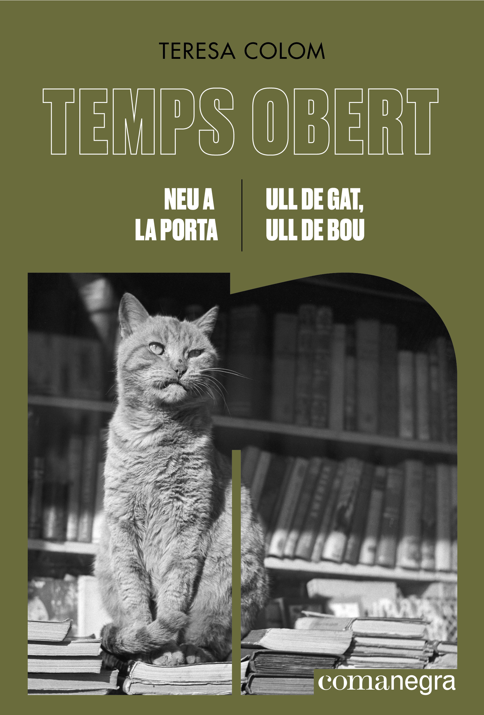 Temps obert