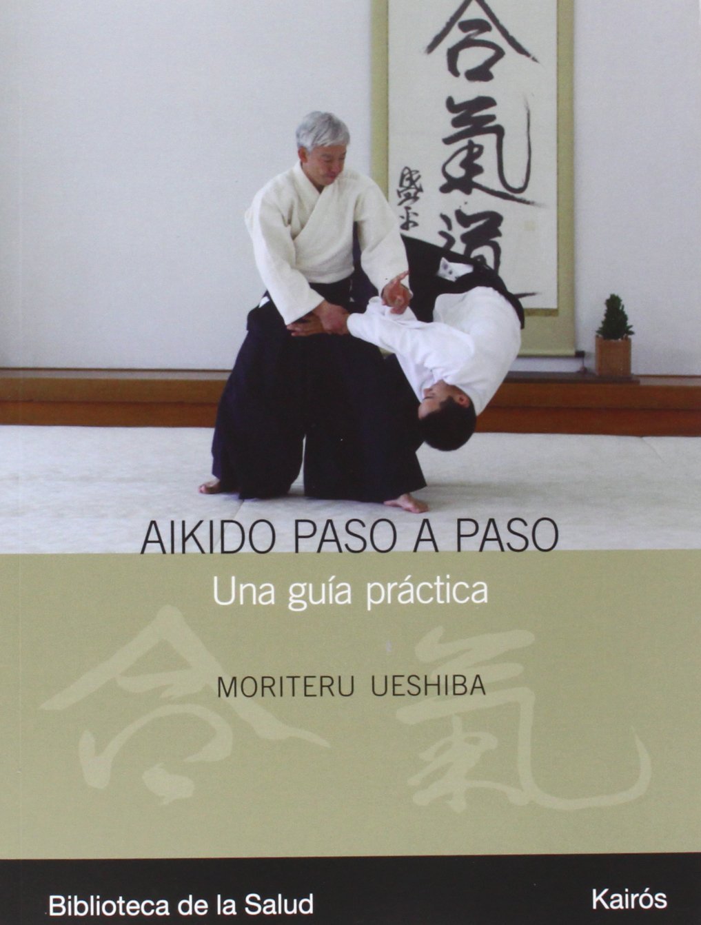 Aikido paso a paso : una guia práctica