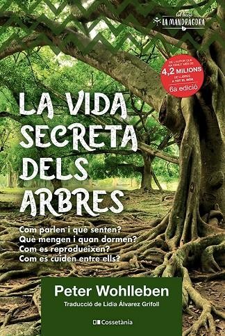 La vida secreta dels arbres