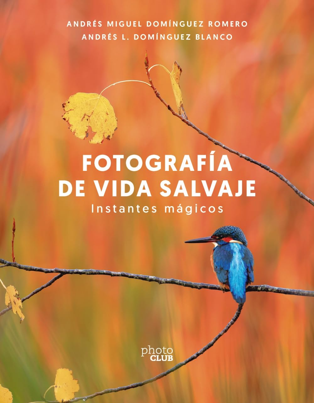 Fotografia de vida salvaje : instantes mágicos