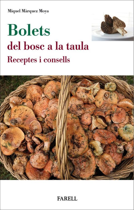 Bolets 