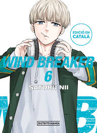Wind Breaker 6