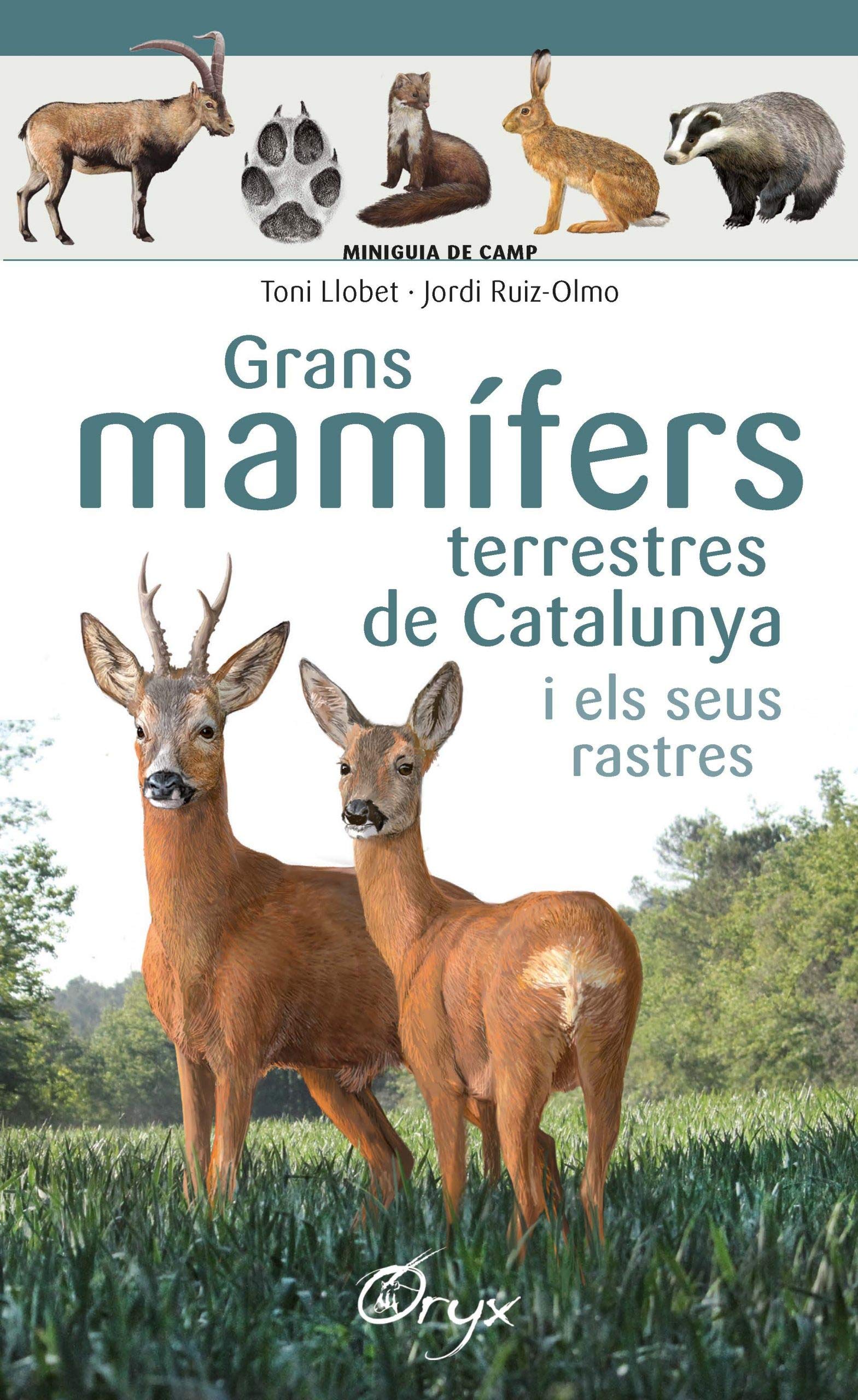 Grans mamífers terrestres de Catalunya i els seus rastres