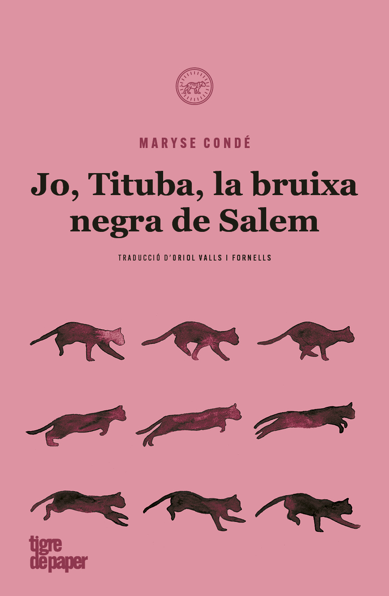 Jo, Tituba, la bruixa negra de Salem
