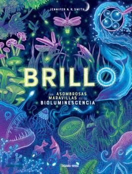 Brillo