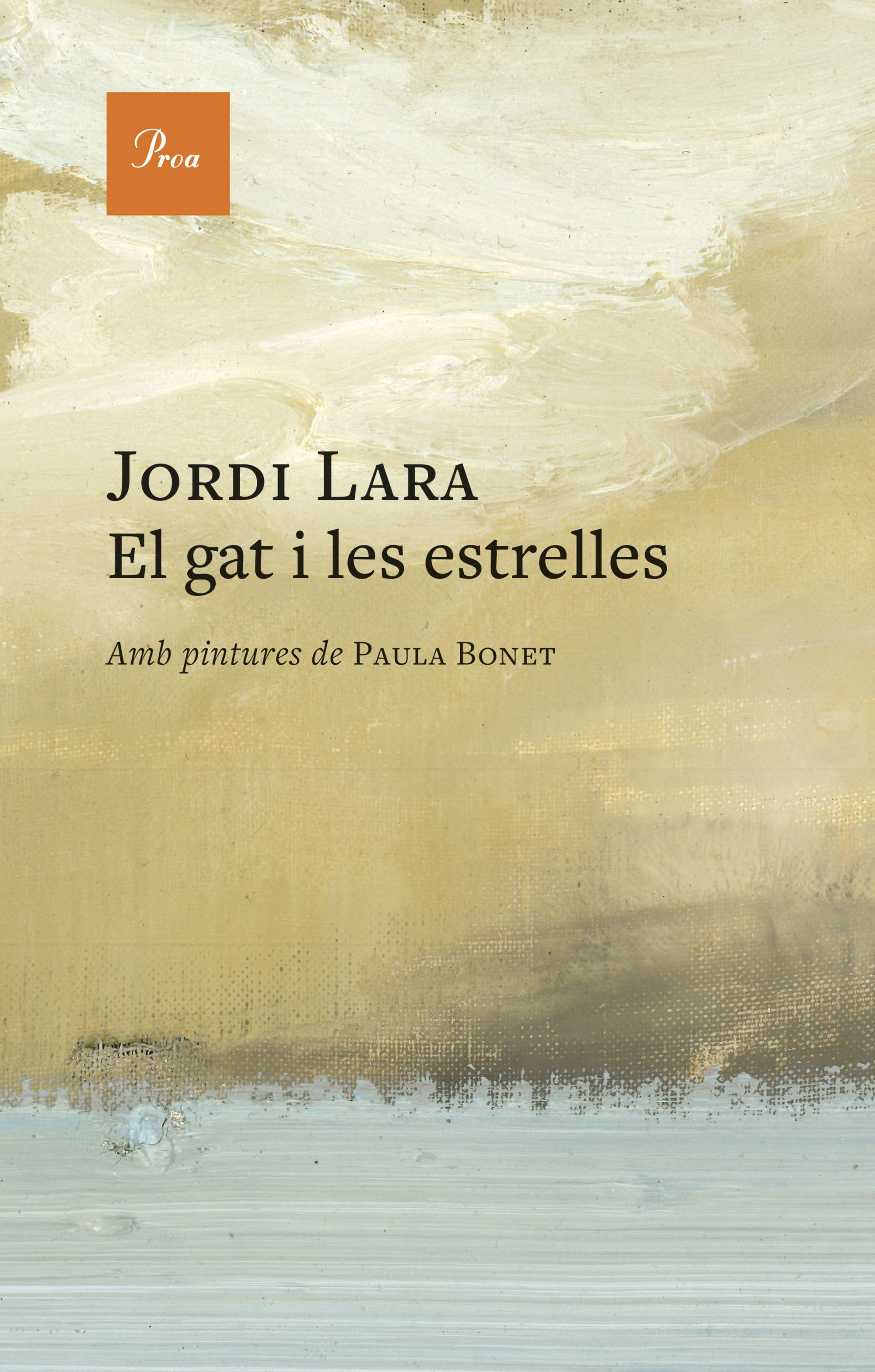 El gat i les estrelles