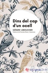 Dins del cap d'un ocell