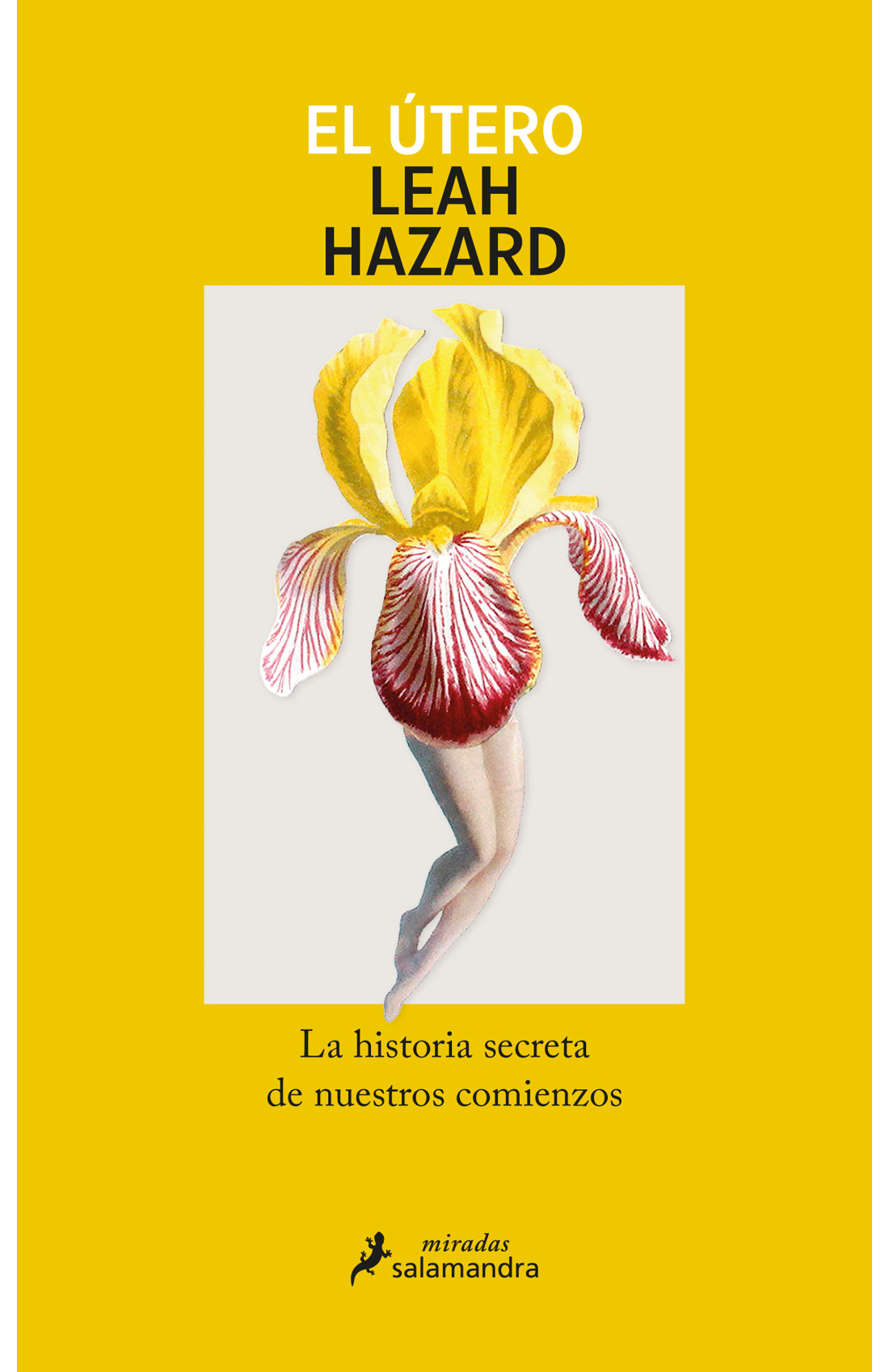 El útero: La historia secreta de nuestros comienzos