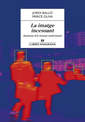 La Imatge incessant : anatomia dels formats audiovisuals